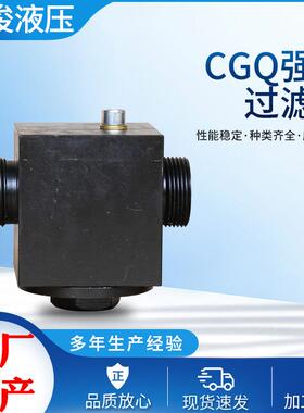 CGQ强磁过滤器CGQ-06-50液压过滤器不锈钢GQ-06-50过滤管路过滤器