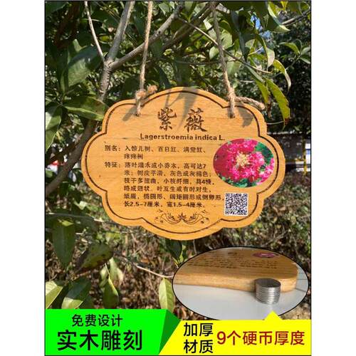 认植树节牌植物养防腐挂牌zq幼儿园标识介绍树木牌花木品名吊牌