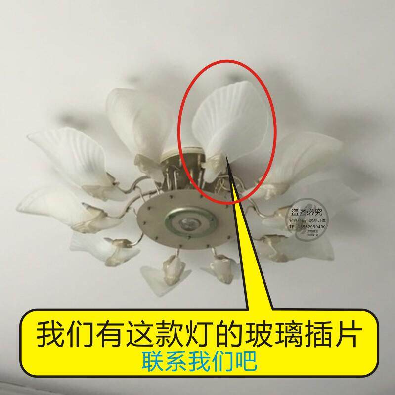 特色吊灯玻璃插片老款花朵吸顶灯欧式玻璃灯罩白色叶子灯罩片插片