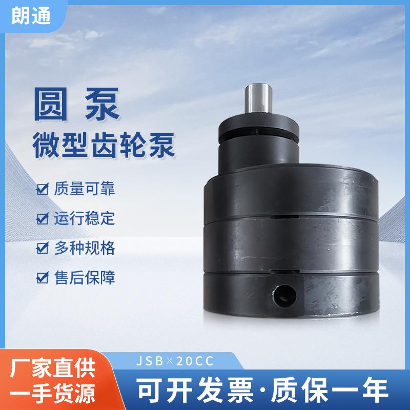 厂家供应圆泵JSB*20CC胶水泵微型齿轮泵高压泵微型泵机床液压泵