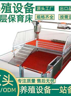 农牧养殖设备养殖场仔猪双层保育床PVC小猪仔猪二层保育床