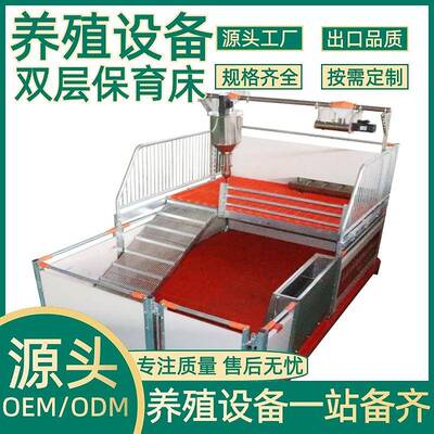 正红农牧养殖设备养殖场仔猪双层保育床PVC小猪仔猪二层保育床