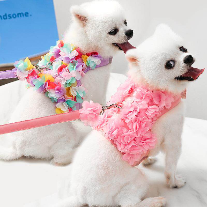 小中犬狗狗猫咪宠物衣服狗胸背带牵引泰迪比熊春夏秋遛狗绳猫用品