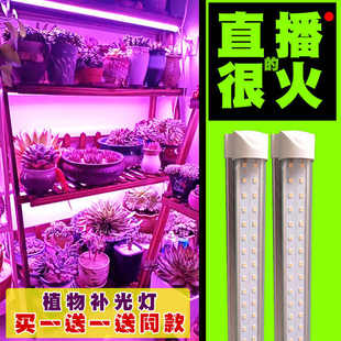 LED植物生长灯多肉补光灯家用上色全光谱防徒长太阳光花卉育苗灯