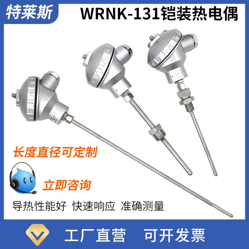 WRNK-131温度感测器 铠装热电偶/热电阻K型PT100型高温型0-1100度图片