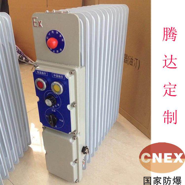 厂家供应13片防爆电加热油汀 片组装防爆取暖器防爆电暖器