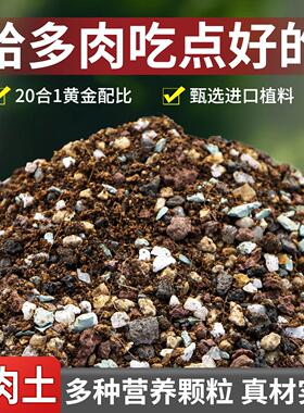 多肉专用颗粒土营养土多肉土泥炭种植土铺面石叶插纯颗粒土扦插