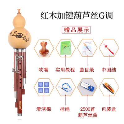 高档奏孔葫芦丝加调两键c调降bf调g调七专业演型成人黑檀木红木管