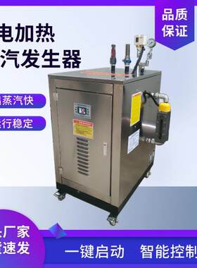 小型电加热蒸汽发生器煮豆浆做豆腐酿酒管道保温全自动蒸汽锅炉