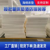 芸澜玥定制尺寸高密度海绵床垫沙发垫榻榻米垫飘窗垫炕垫定做专拍