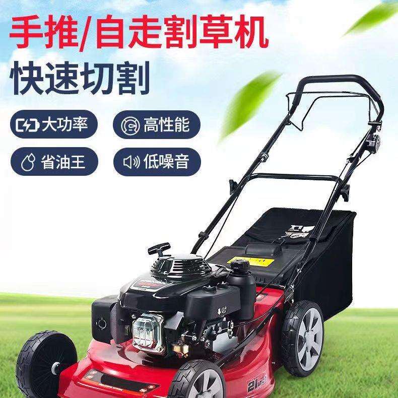 汽园林割用草机手推式NOR功率草坪机除草大机农剪草机油果园修剪