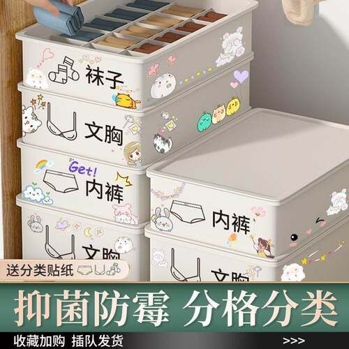 Underwear Storage Bag Box for Socks and Underwear - 3-in-1 C