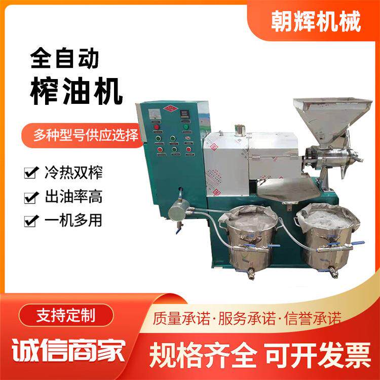 商用牛油果棕榈果油压榨机不锈钢螺旋炸油机植物油料全自动榨油机