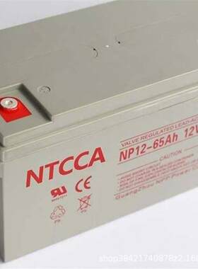 NTCCA蓄电池电池蓄电池恩科NP12-6h国标尺寸免维护NP系列电源