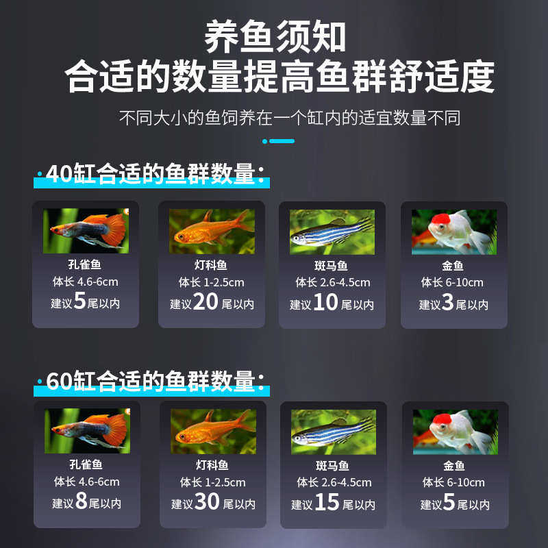 办公桌小鱼缸鱼缸水族箱透明家用客厅桌面生态懒人免换水金鱼缸,宠物/宠物食品及用品,桌面缸,淘宝优惠券,粉丝福利购,淘宝优惠卷