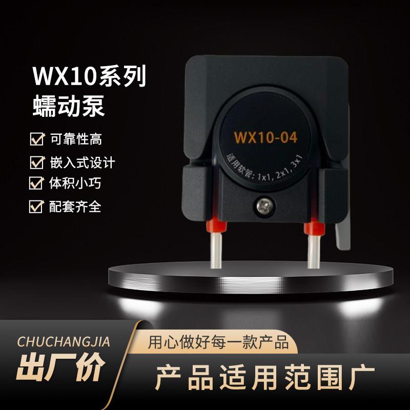蠕动泵小型恒流泵计量泵微型泵高校实验室仪器配件WX10