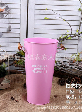 鲜花鲜花养花干花花盆装饰摆件