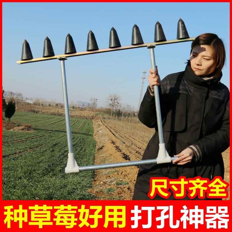 种草莓神器打孔工具种菜农用打洞移苗器花生播种挖坑栽苗器移栽机