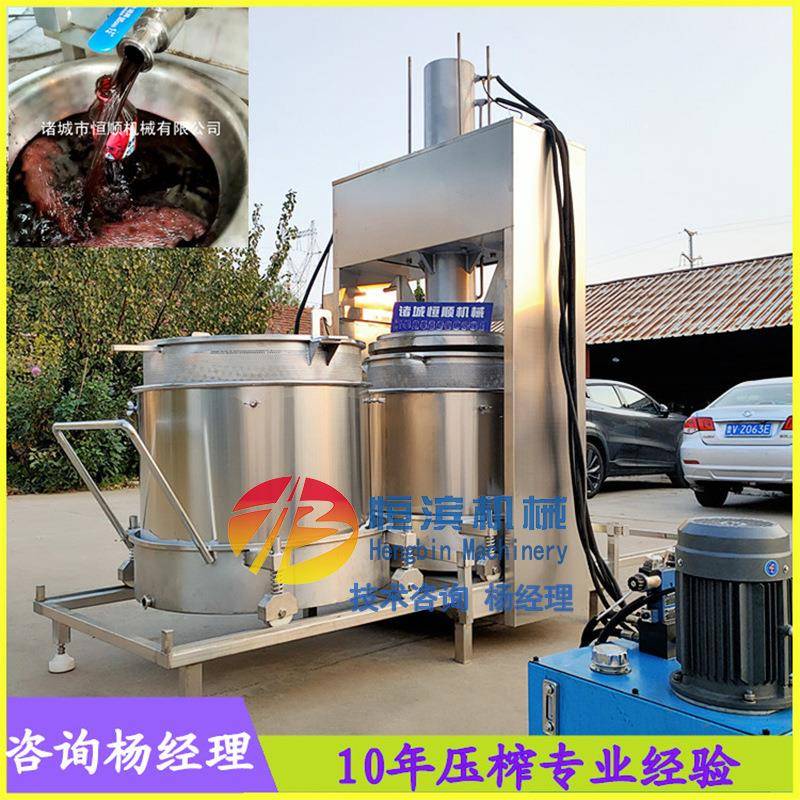 浸泡酸枣仁中药药渣过滤压榨机天妇罗油炸食品油渣子挤干压油机