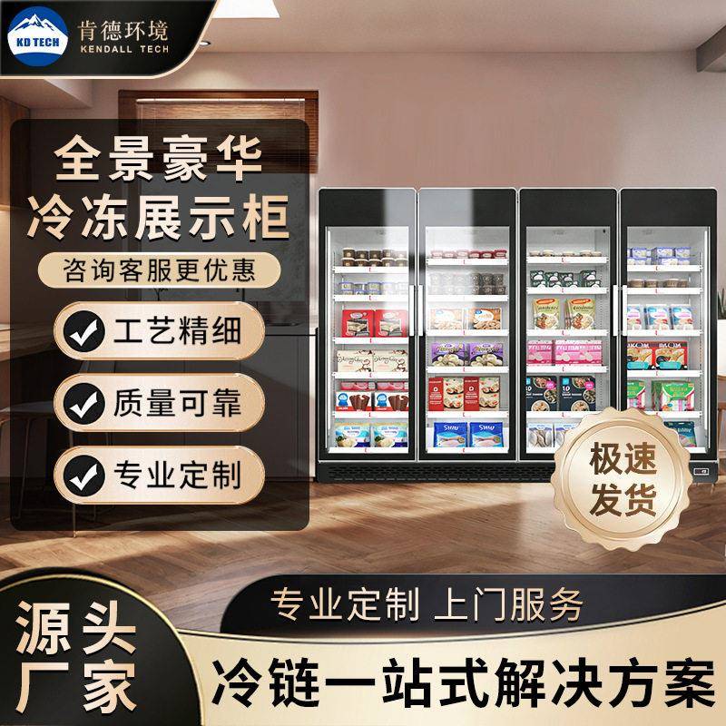 肯德冷冻展示柜食品冻品低温速度柜冰淇淋超市冰箱商用冰柜立式