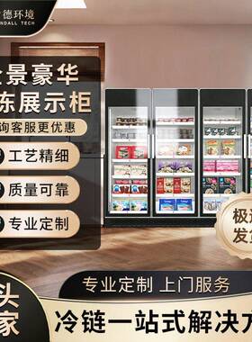 肯德冷冻展示柜食品冻品低温速度柜冰淇淋超市冰箱商用冰柜立式