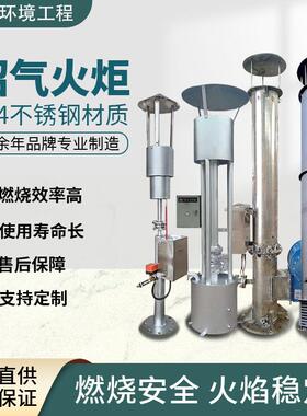 沼气火炬内燃外燃式养殖场污水处理厂垃圾填埋场燃烧器设备耐腐蚀
