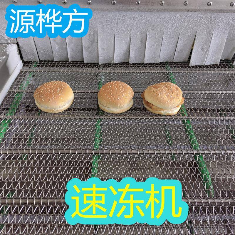 三文鱼隧道速冻机金枪鱼风冷式冷冻机黄花鱼平板速冻机