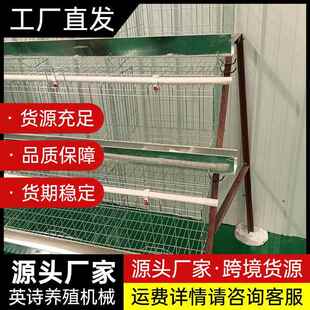 笼养鸡设备厂家 养殖场用半A三层四门蛋鸡笼设备热镀锌多层阶梯式