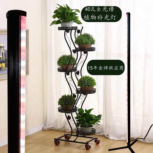 多肉植物生长补光灯全光谱40瓦LED2G11上色三脚支架零浪费植物灯