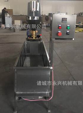 小型肉丸生肉产线 丸加工设 商用小620备型制品生产肉线