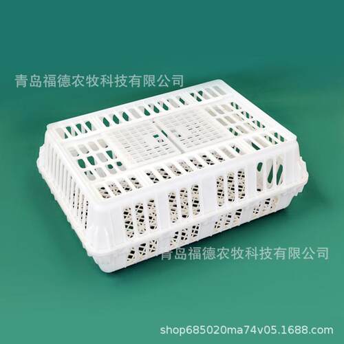 鸡鸭周转筐 成鸡周转箱 鸡用鸡笼 鸡筐 小鸡鸭鹅鸽兔运输笼