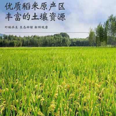 沂蒙粳米5斤10斤5KG真空包装虾田米新米厂家郯城大米