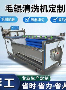 大型果蔬气泡清洗机果蔬压喷淋清洗设备草莓葡萄等深加工设