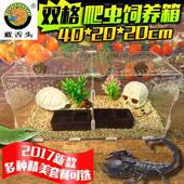 双格亚克力爬虫饲养箱盒守宫火玫瑰蜘蛛蝎子甲虫爬宠盒40