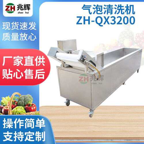 厂家提供器气泡清洗机ZH-QX3200型水果蔬菜不锈钢自动清洗机
