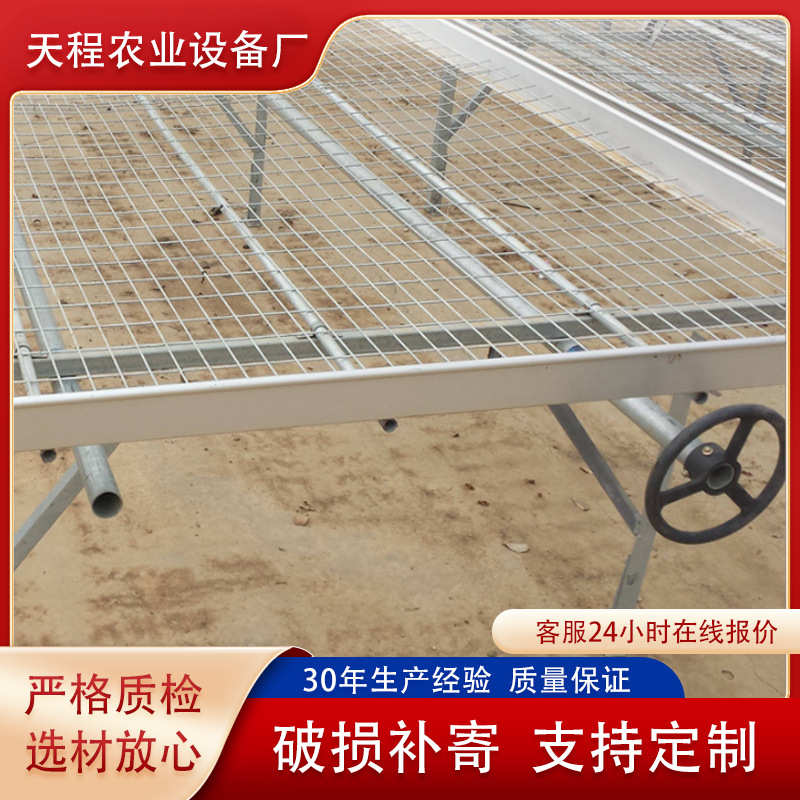 智能温室蔬菜苗床 电焊网片苗床网温室大棚育苗床 大棚围栏