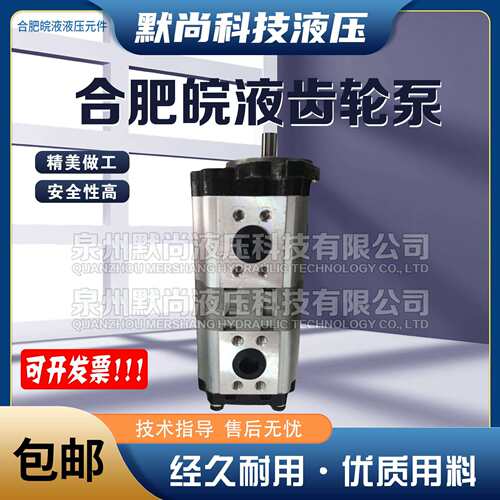合肥皖液齿轮泵CBWL-E320/E320 E32/E316 E320/E310 E320/E308-AF