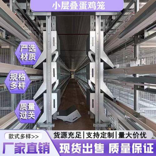 定制立式鸡笼蛋鸡笼专业养殖设备笼具层叠式蛋鸡自动化蛋鸡笼具
