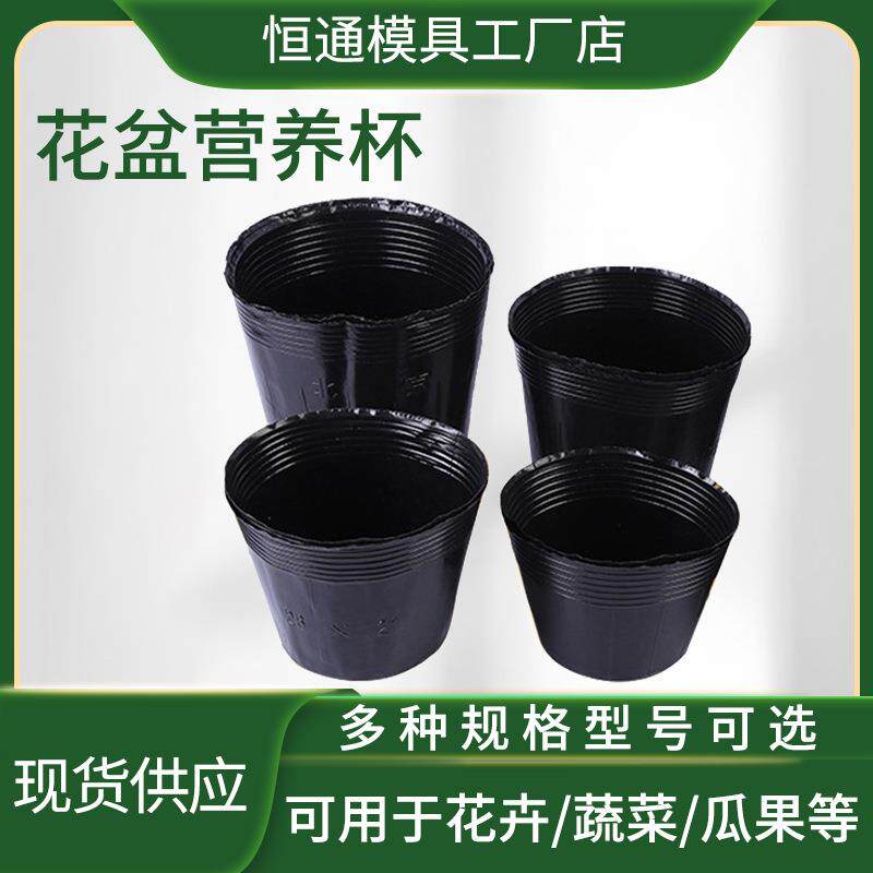 活动黑色普通塑料营养杯营养钵家庭园艺园林花卉育苗盆育苗袋
