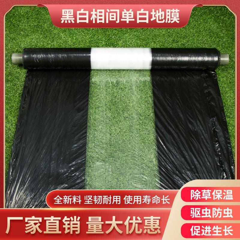 黑白相间地膜一次性白加黑地膜除草黑地膜黑色黑白地膜农用地膜