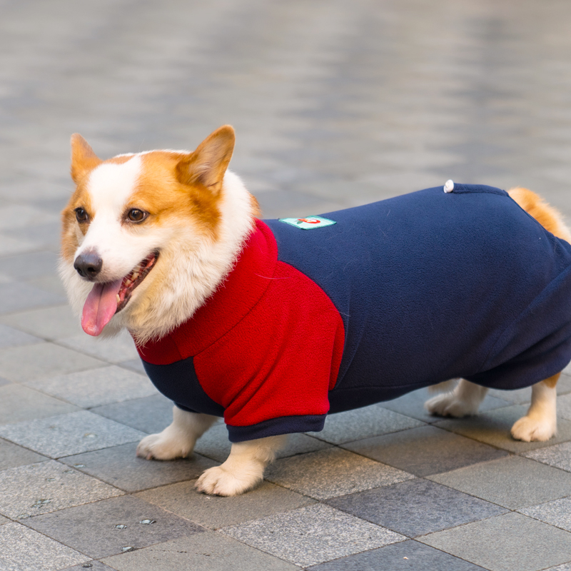 秋冬外出衣服犬四脚防寒肚包柴边基加加厚绒柯保暖牧狗狗