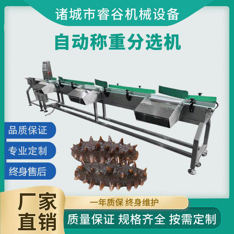 海参重量分拣设备 鲍鱼皮带式多级称重分选设备 鱼自动秤重分级机