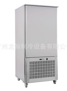 10盘包子水饺慕斯硬冰淇淋速冻柜商用冰箱风冷无霜插盘急速冷冻柜