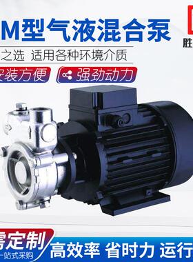 气浮处理设备臭氧溶气清水泵离心泵自吸化工GLM型卧式气液混合泵