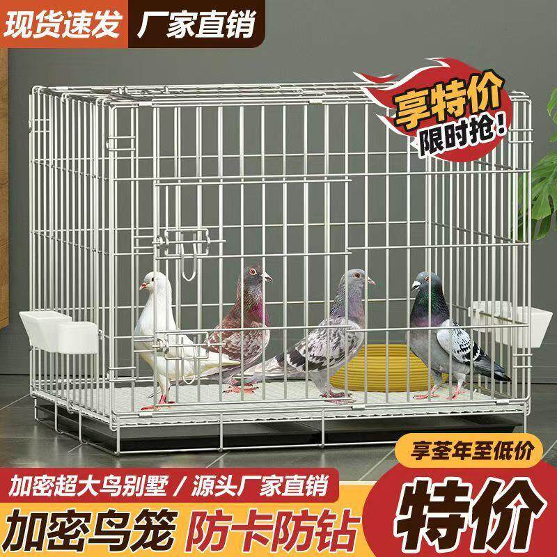 鸽笼子家用养殖繁殖配对鸽子笼大号金属鸟笼肉鸽赛鸽白羽笼大鸡鸭