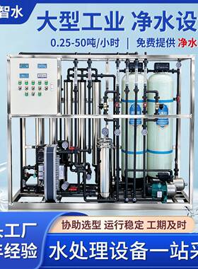 大型商用RO反渗透超纯水设备自来水除水垢泥沙全自动大流量过滤器