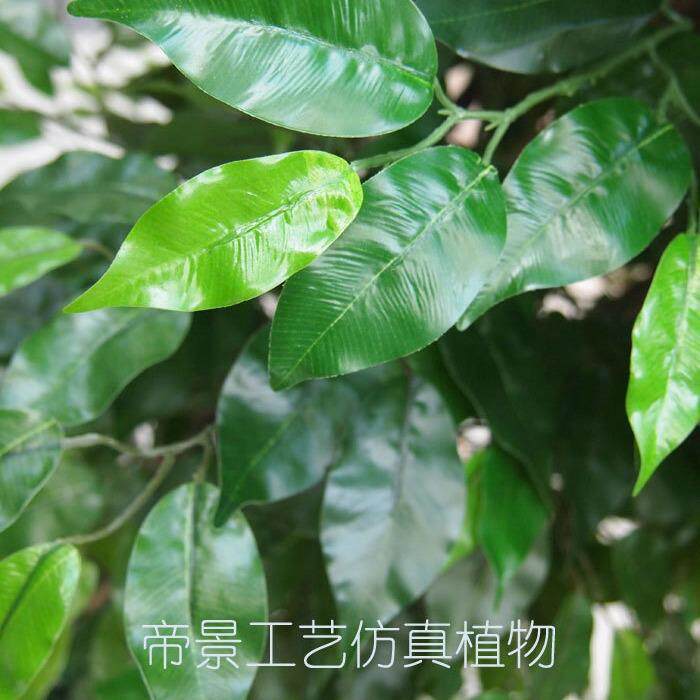 仿真大型5布杆过胶手装饰榕树真树塑料感大盆14588景落地景花干园