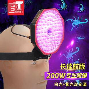 波来特蝎子灯头戴式照蝎子专用灯充电强光头灯超亮大功率型紫光灯