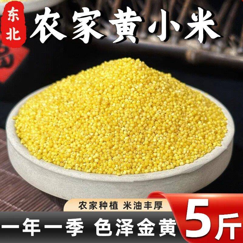 东北黄小米坐月子新小黄米粗粮食用糯油粘养胃小米粥五谷杂粮5斤