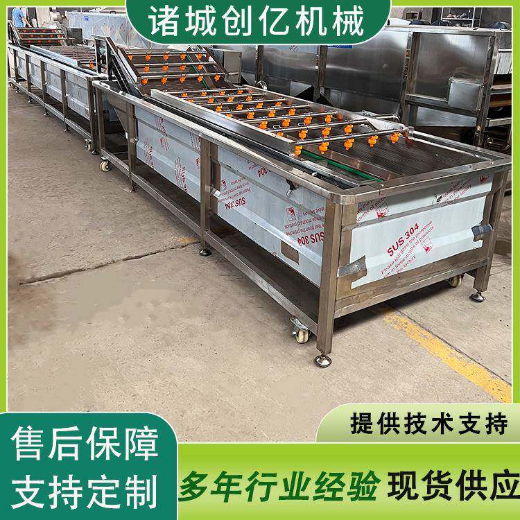 气泡式履带式清洗机供应花生芽不锈钢清洗机果蔬白菜清洗机商用